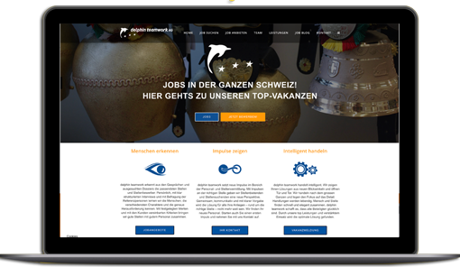 redesign-website-agentur SEO-Konzept für delphin teamwork