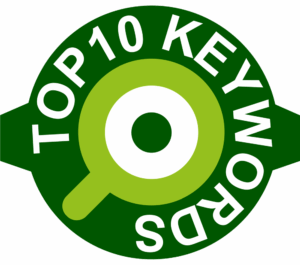 SEO Spezialist bringt Deinem KMU Top-Ranking-Plätze